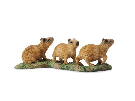 COLLECTA - CAPYBARA BABIES (S) Online now