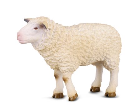 COLLECTA - SHEEP (M) Online Sale