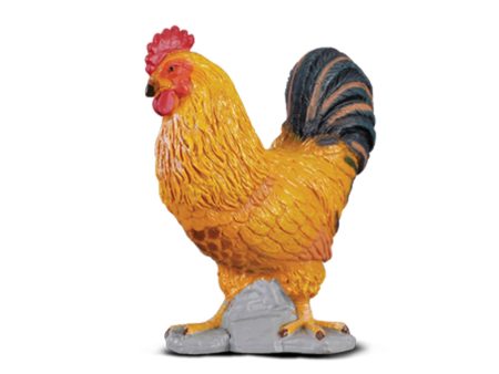 COLLECTA - COCKEREL (S) Online now