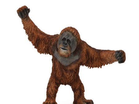 COLLECTA - ORANGUTAN Online