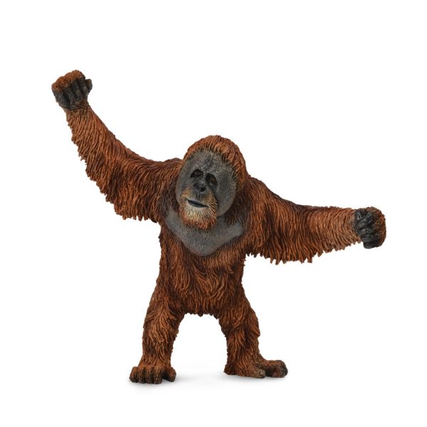 COLLECTA - ORANGUTAN Online