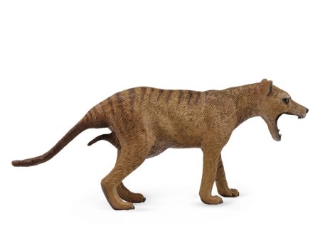 COLLECTA - THYLACINE TASMANIAN TIGER FEMALE on Sale