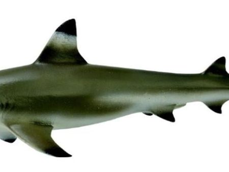 COLLECTA - BLACKTIP REEF SHARK Online now