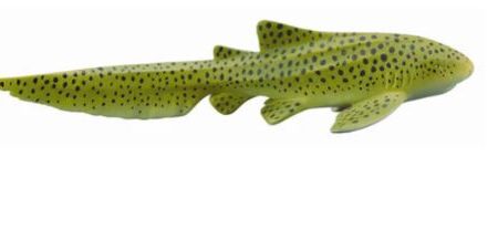 COLLECTA - ZEBRA SHARK (M) Online now