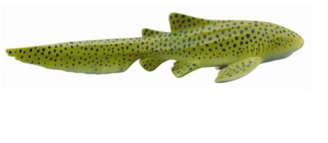 COLLECTA - ZEBRA SHARK (M) Online now