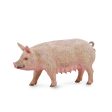 COLLECTA - PIG SOW Cheap