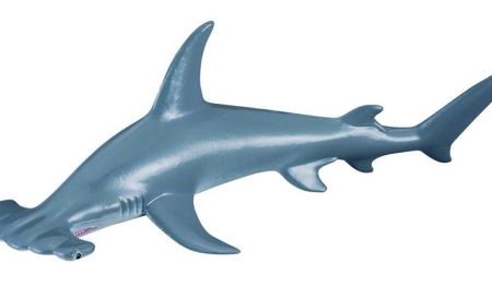 COLLECTA - SCALLOPED HAMMERHEAD SHARK (M) Discount