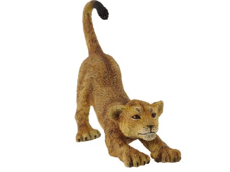 COLLECTA - LION CUB STRETCHING (S) Online now