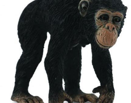 COLLECTA - CHIMPANZEE FEMALE (M) Hot on Sale