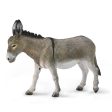 COLLECTA - DONKEY Fashion