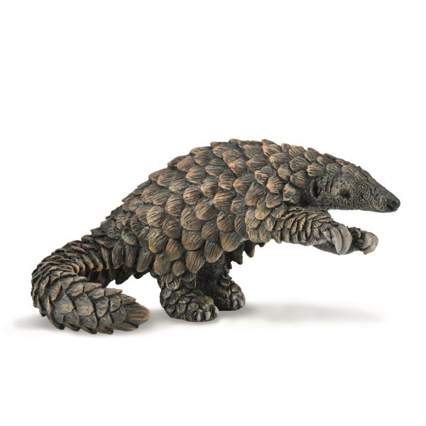 COLLECTA - PANGOLIN Sale