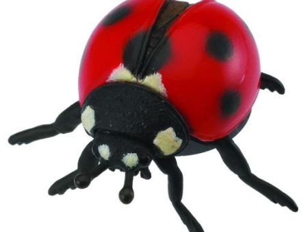 COLLECTA - LADYBIRD (M) Sale