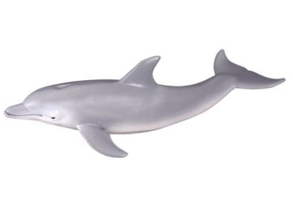 COLLECTA - BOTTLENOSE DOLPHIN (M) Hot on Sale