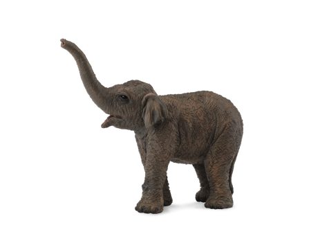 COLLECTA - ASIAN ELEPHANT CALF (S) For Cheap