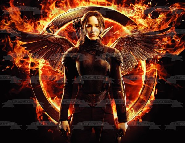 Hunger Games Katniss Mockinjay Fire Wings Edible Cake Topper Image ABPID52756 For Cheap