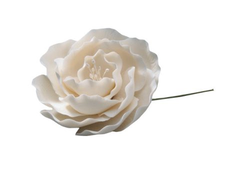 White Briar Rose Gum Paste Flowers Hot on Sale