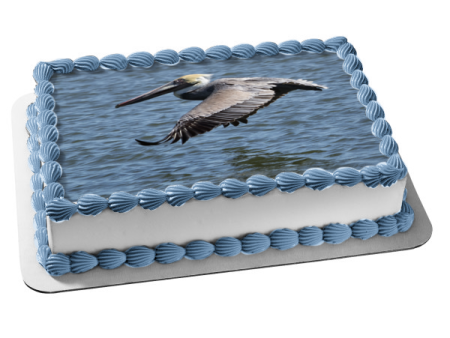 Brown Pelican Edible Cake Topper Image ABPID52608 For Cheap