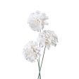 White Carnation Gum Paste Flowers Online now