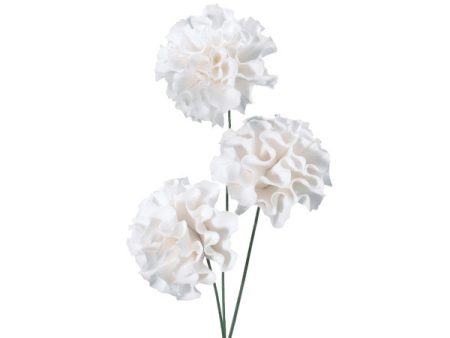 White Carnation Gum Paste Flowers Online now