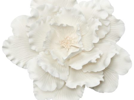 White Peony Gum Paste Flowers Cheap