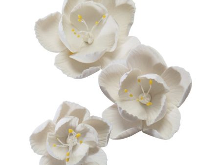 Blossom Assortment Gum Paste Flowers Sale