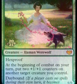 Avabruck Caretaker    Hollowhenge Huntmaster [Innistrad: Crimson Vow Prerelease Promos] For Cheap