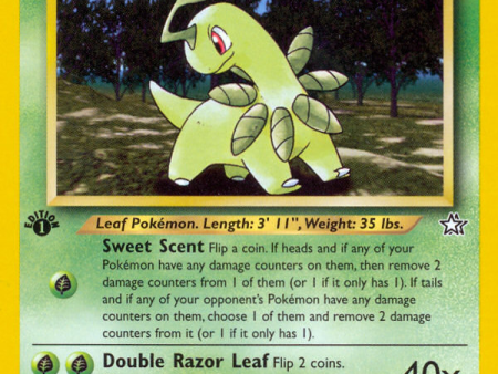 Bayleef (29 111) [Neo Genesis 1st Edition] Supply