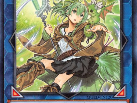 Wynn the Wind Charmer, Verdant [MGED-EN120] Rare For Discount