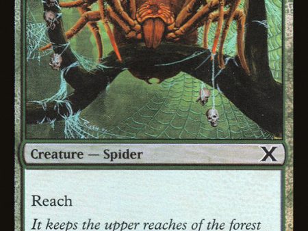 Canopy Spider (Premium Foil) [Tenth Edition] Hot on Sale