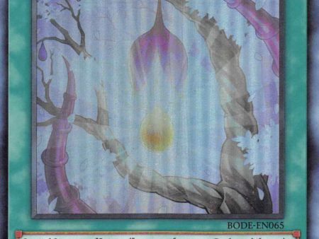 Sunvine Sowing [BODE-EN065] Super Rare Cheap